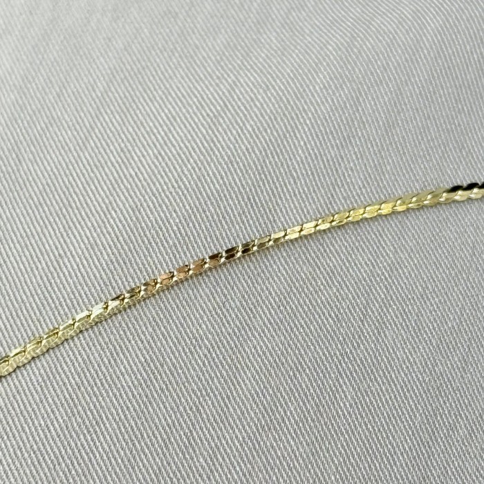 Balıksırtı Parlak Zincir Kolye resmi